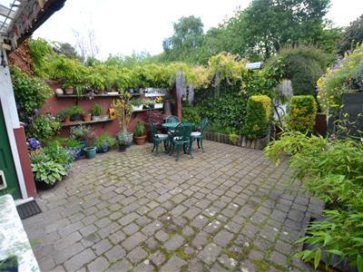 Picture 15